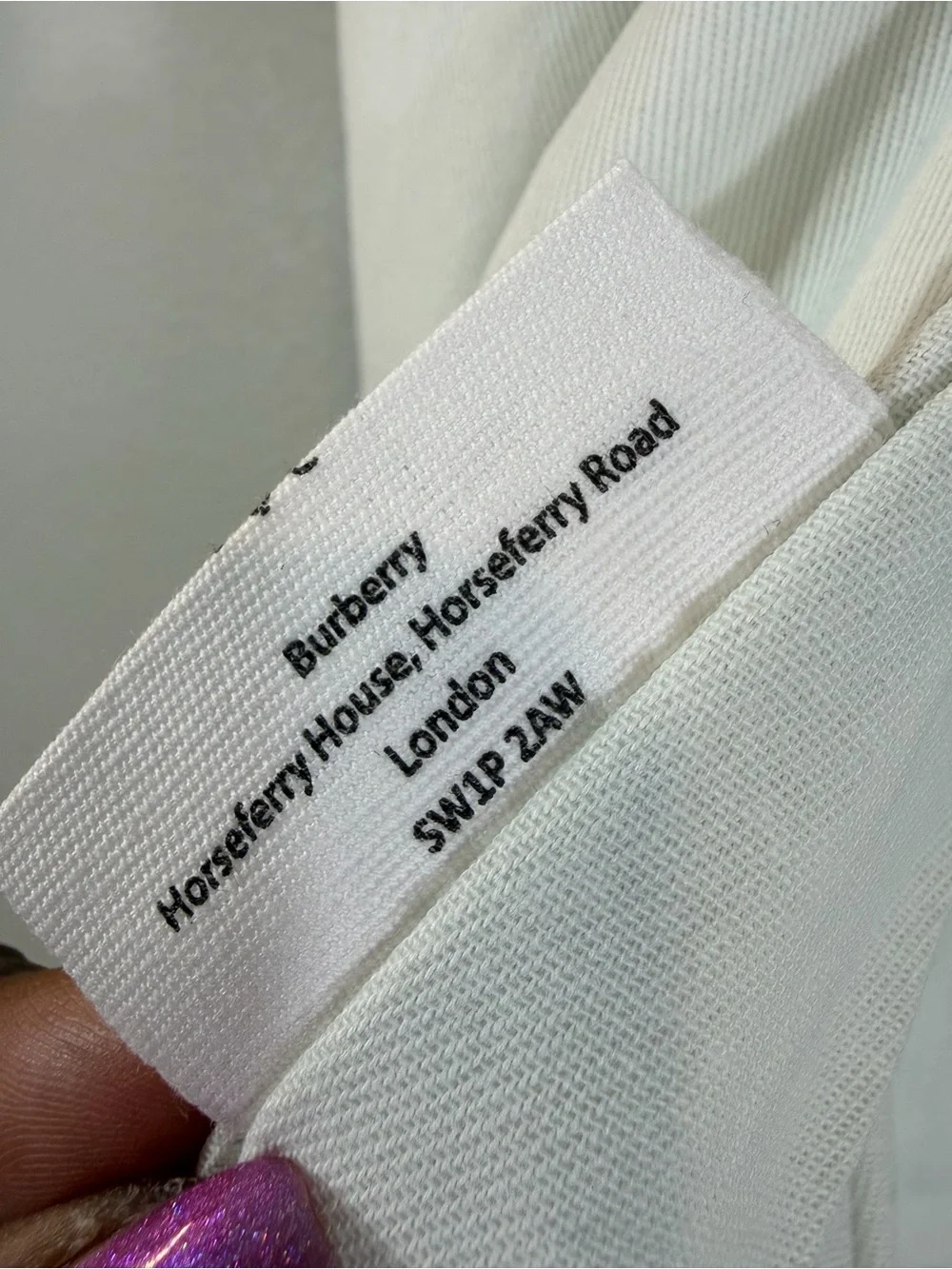 Burberry Prorsum Garment Bag Pale Mint Blue Logo Hanging Travel Suit Luggage